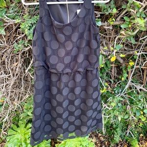 BRAND NEW Black Polka Dot Lace Dress